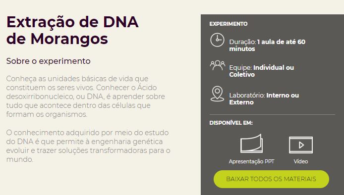 extração de dna de morangos